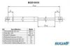 FORD 1S7116C826AD Gas Spring, bonnet